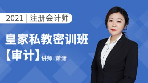 2021注册会计师--审计